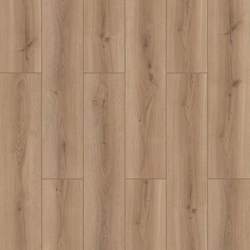 Aquacore Next Gen Water Resistant 8mm Laminate Flooring Trent Oak