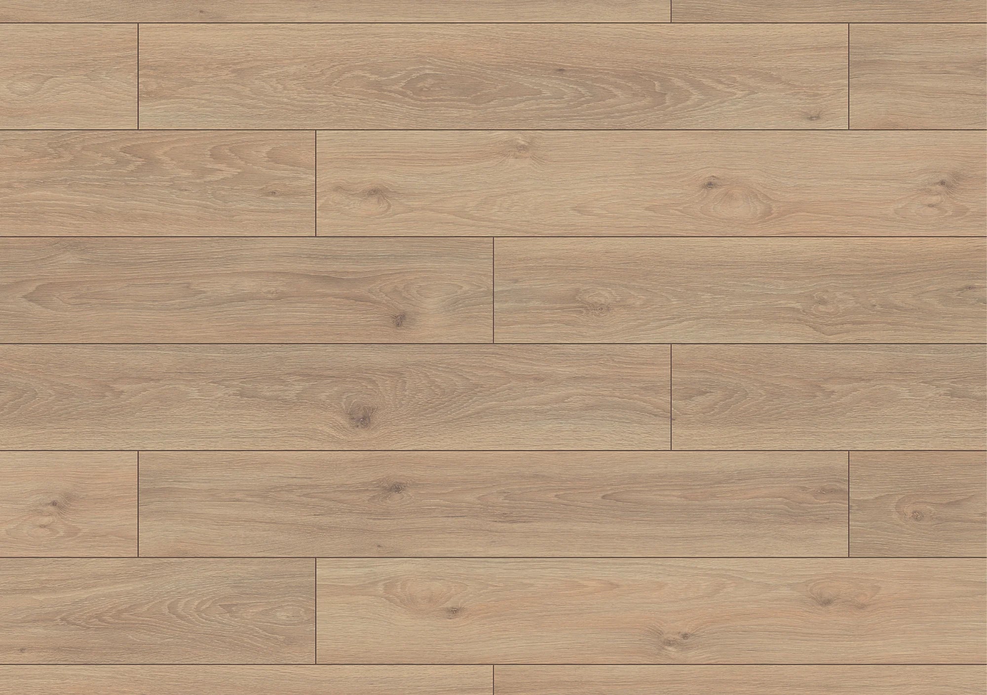 Krono Super Natural Classic Wheat Pistachio Oak 8mm Laminate Flooring